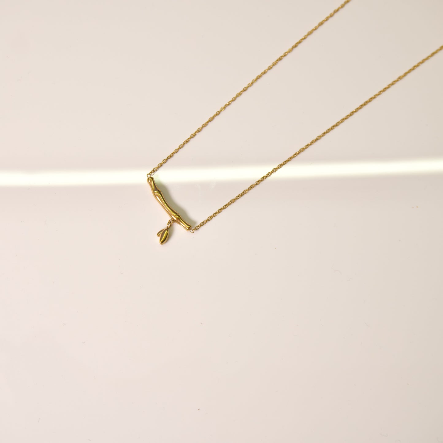 Phyllis pendant πͺ΅πΏ