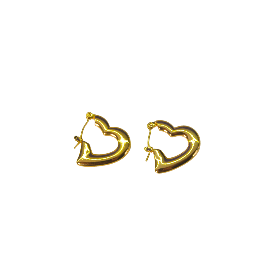 Amora hoops 💖