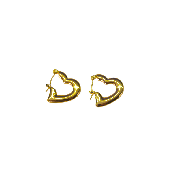 Amora hoops 💖