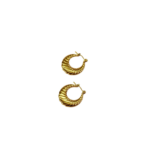 Quinn hoops 🪐