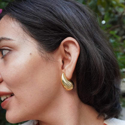 Sagarika Earrings 🐚